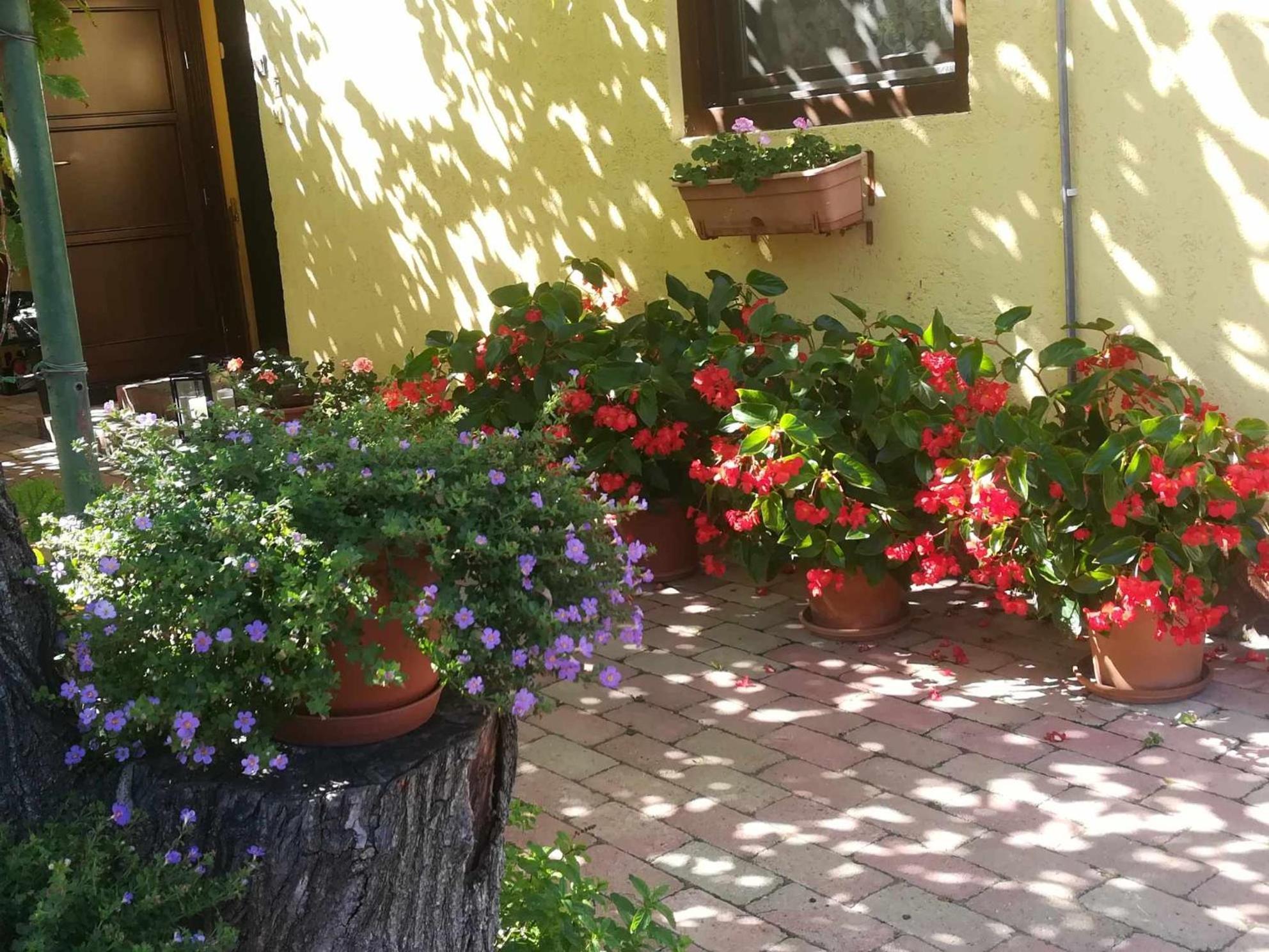 Appartamento Muskátlis Ház Balatonlelle Esterno foto